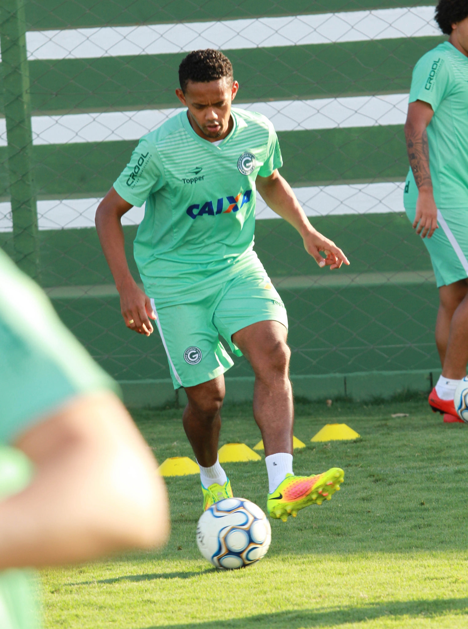 Verde busca retomada de desempenho