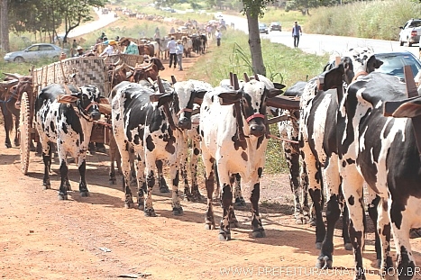 Batistão comandou uma orquestra de carros de bois