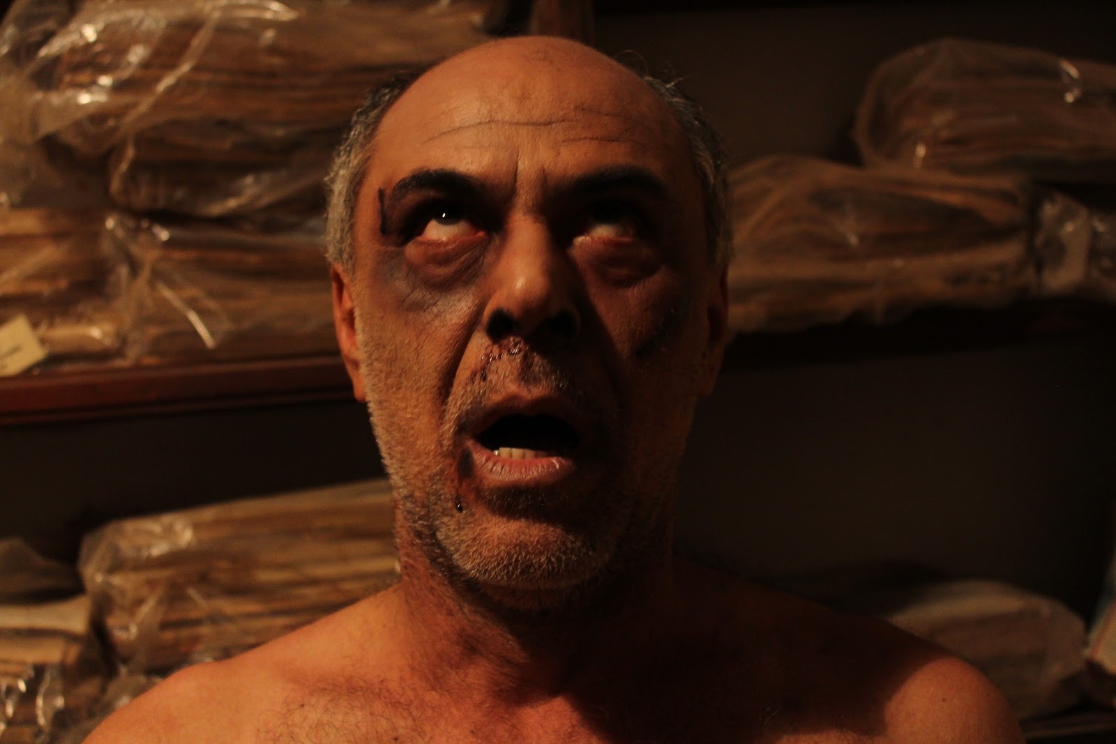 Festa do Cinema