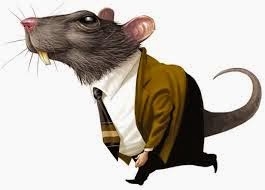 Ratazanas da OAB Forte estão se organizando para retomar a OAB-Goiás