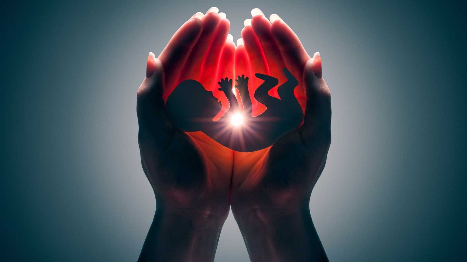 Aborto e eleições 2018 numa perspectiva católica