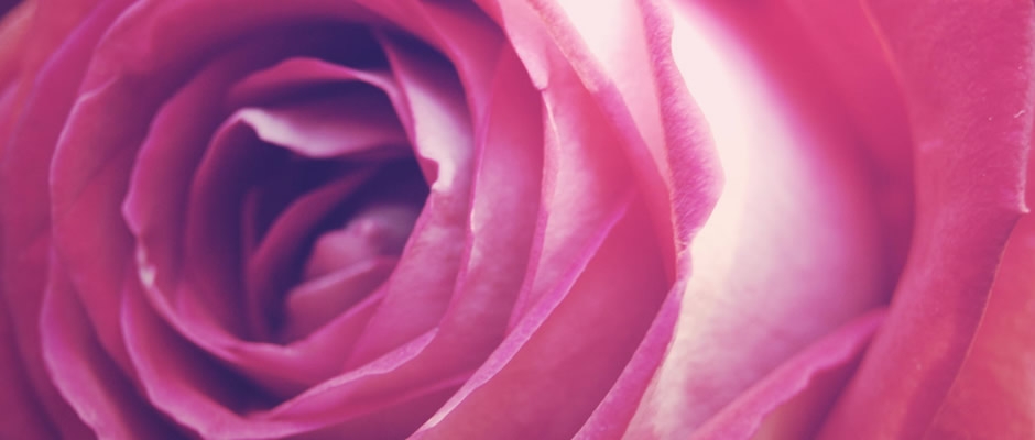 O amor de mãe e a história de Pétala