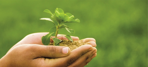 Regulação socioambiental corporativa: mineração e direitos humanos