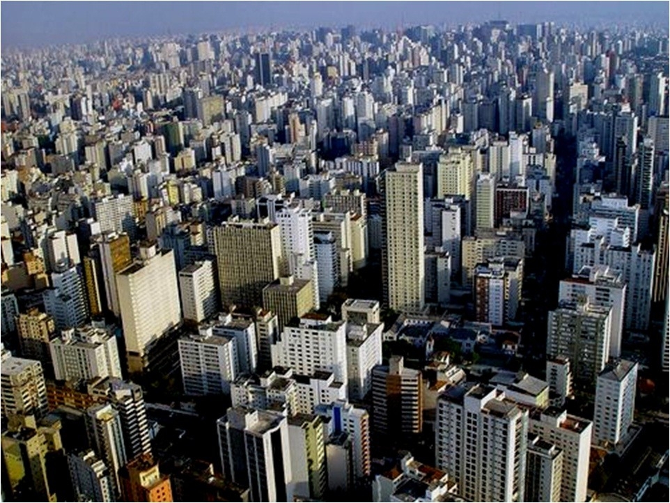 A criança e a  consciência ecológico-cristã
