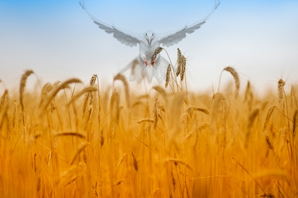 A festa de pentecostes