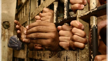 O sistema penitenciário brasileiro e o boiadeiro de gado nelore
