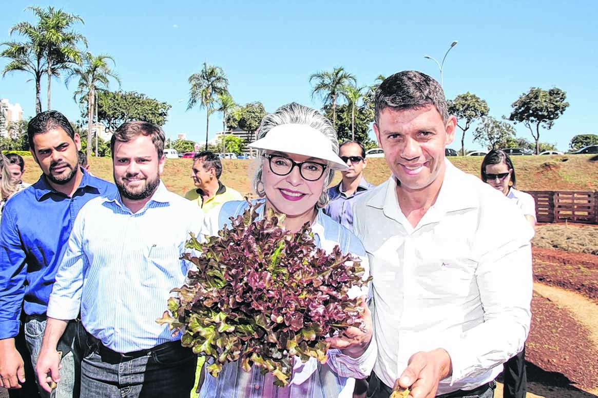 Horta de união e colaborativismo