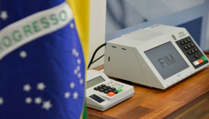 As eleições  e o bigode do gato