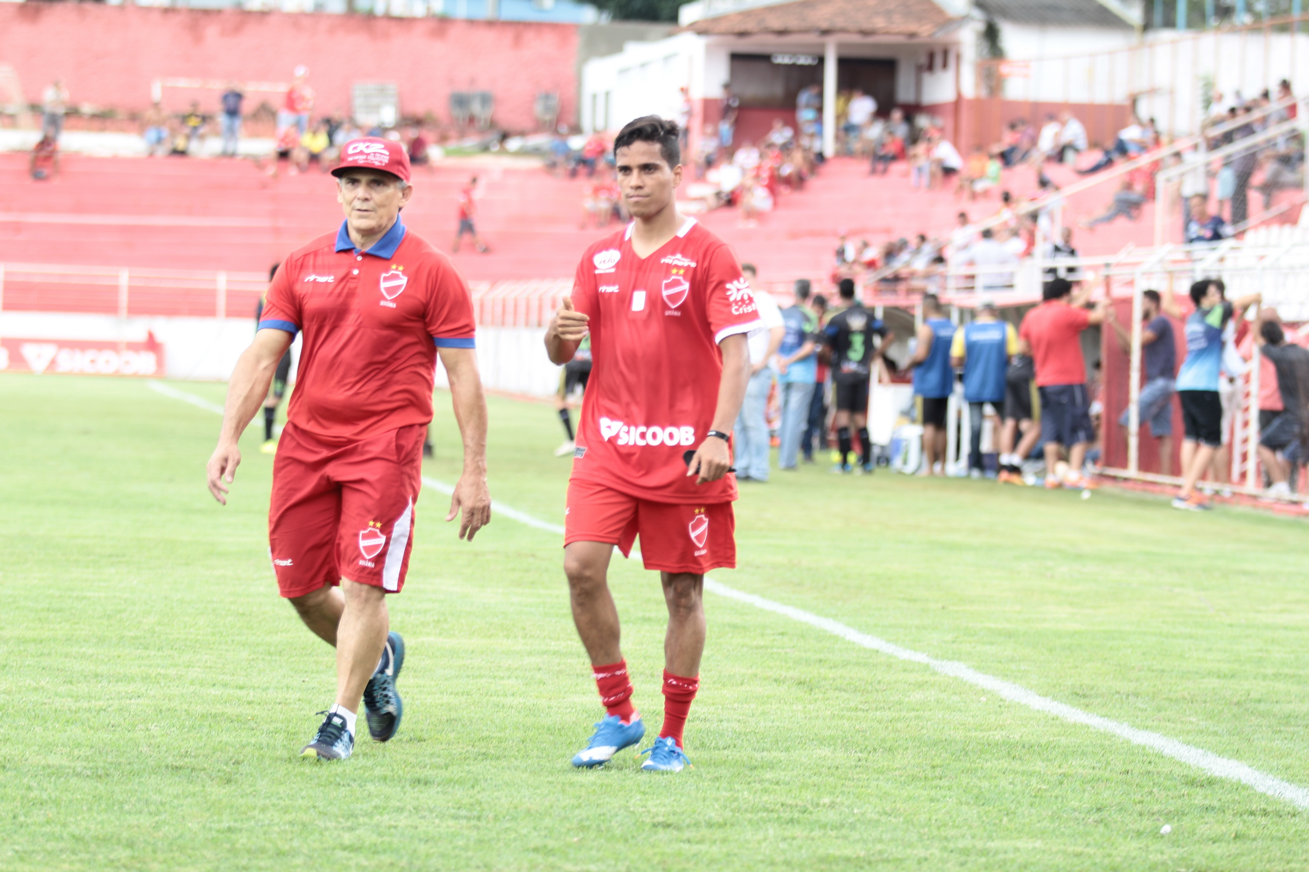Tigre tem ritmo de treino intensificado