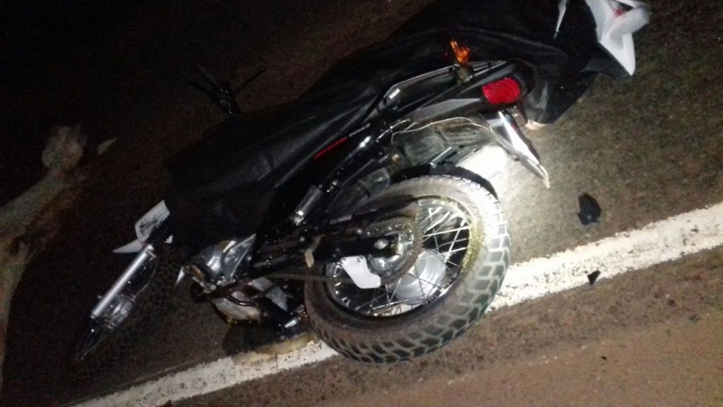 Motociclista morre após atropelar cavalo em rodovia