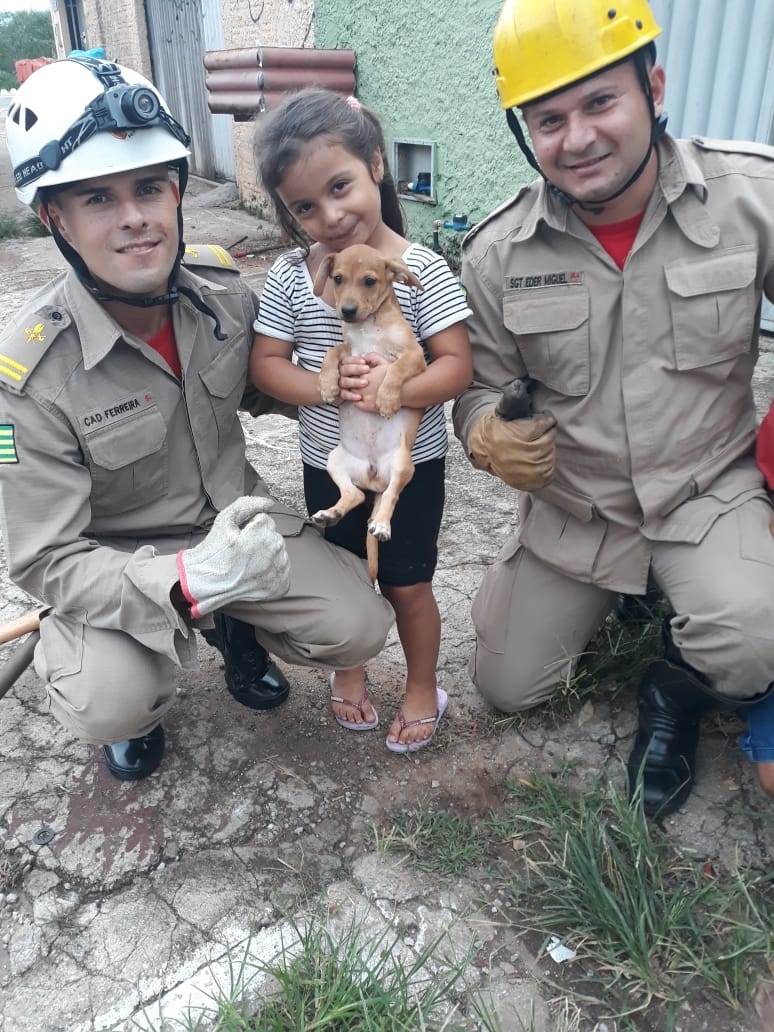 Bombeiros resgatam cachorro preso em bueiro em Goiânia