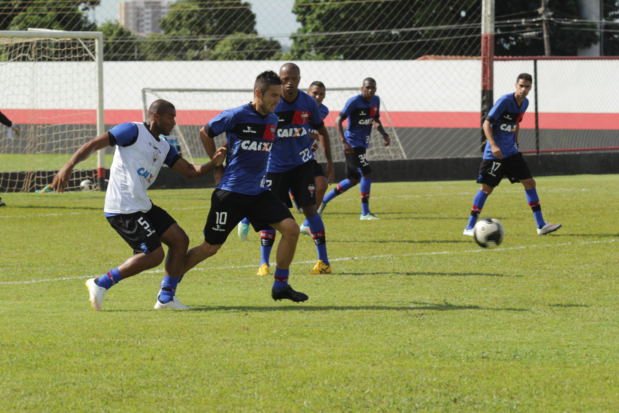 Em alta, Schuster busca seu primeiro título