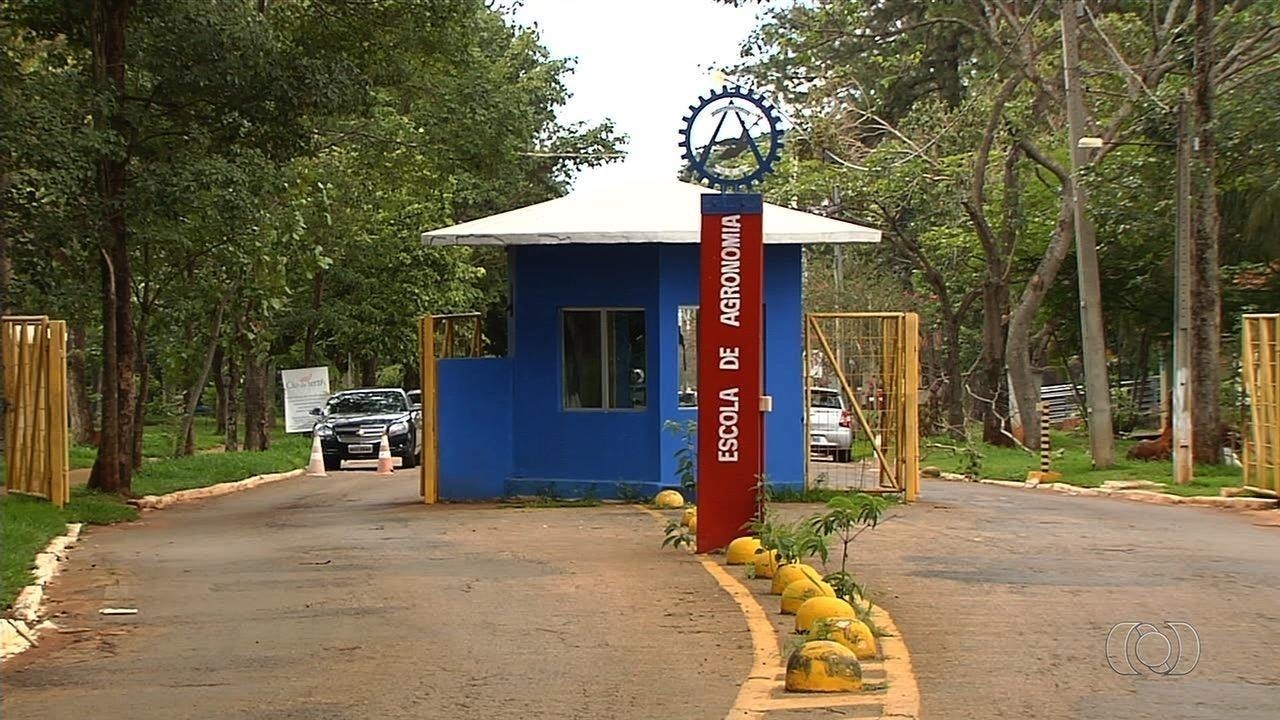 UFG demite professor de agronomia por assédio sexual contra alunas