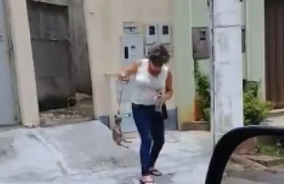 Mulher é presa suspeita de matar filhote de cachorro em Trindade