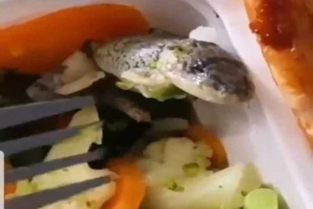 DF: Influenciadora encontra rã em comida pedida por delivery