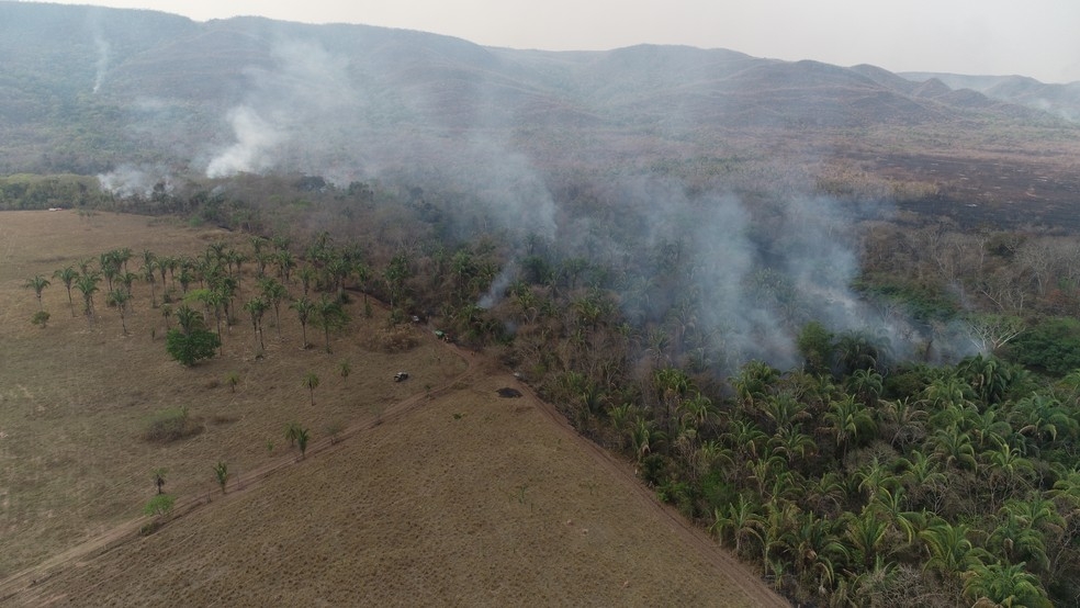 Multinacional investe em tecnologia para controlar incêndios no Pantanal
