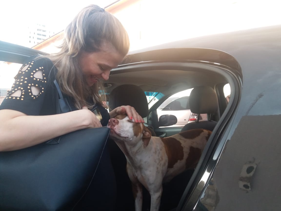 Dupla é detida suspeita de ‘sequestrar’ cachorro e pedir recompensa para devolvê-lo