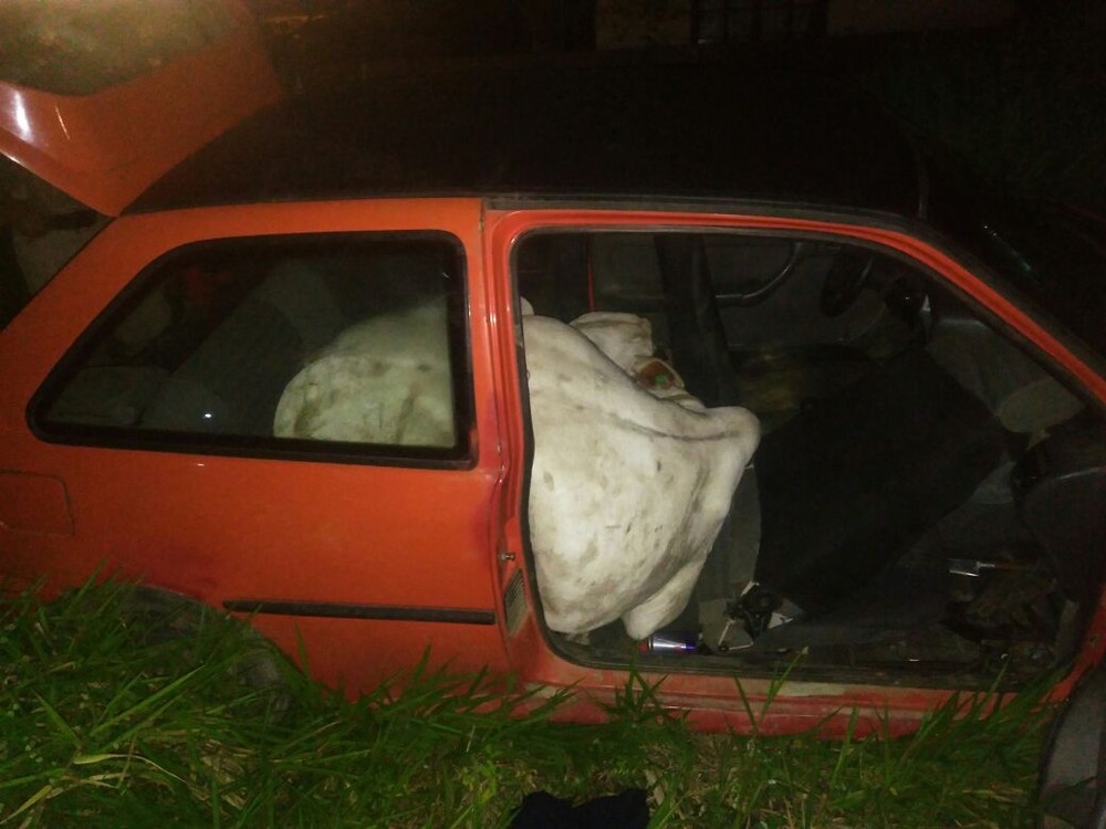 Assaltantes fogem com boi dentro de carro