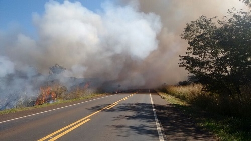 Homens são flagrados colocando fogo em rodovia de Jataí