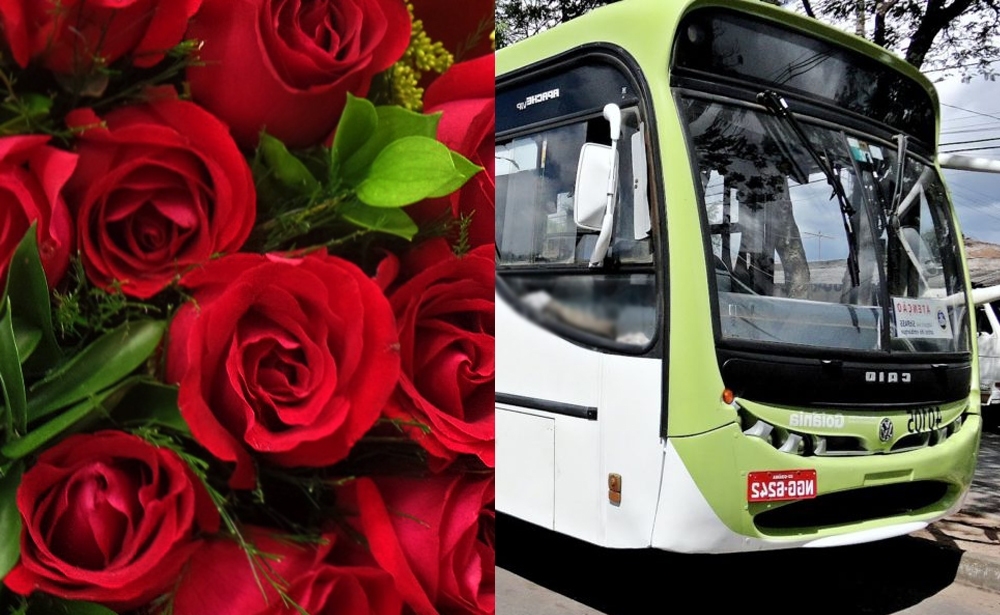 Motorista decora ônibus e distribui rosas para passageiras em Goiânia