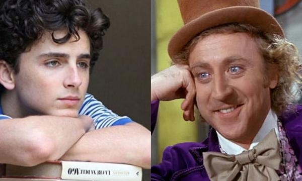 Veja produções como: O filme de Portal que segue vivo e Timothée Chalamet será Willy Wonka no cinema