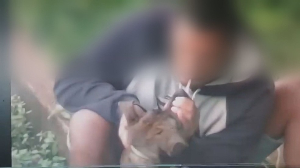 Polícia investiga homem que forçou cachorro a inalar fumaça de cigarro em vídeo