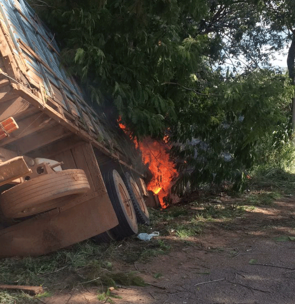 Caminhão que transportava gado pega fogo em rodovia