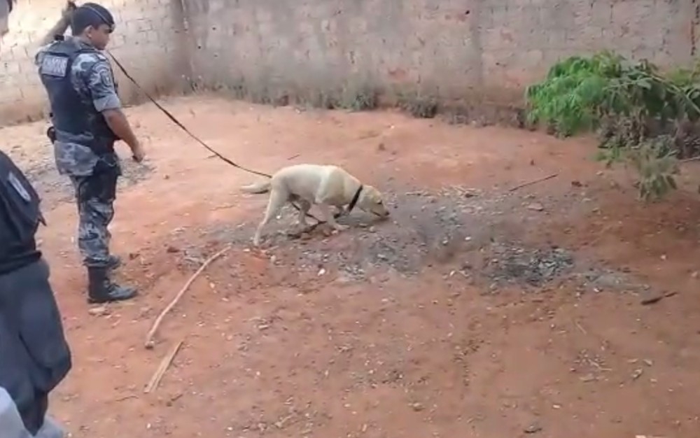Mulher enterra drogas no quintal