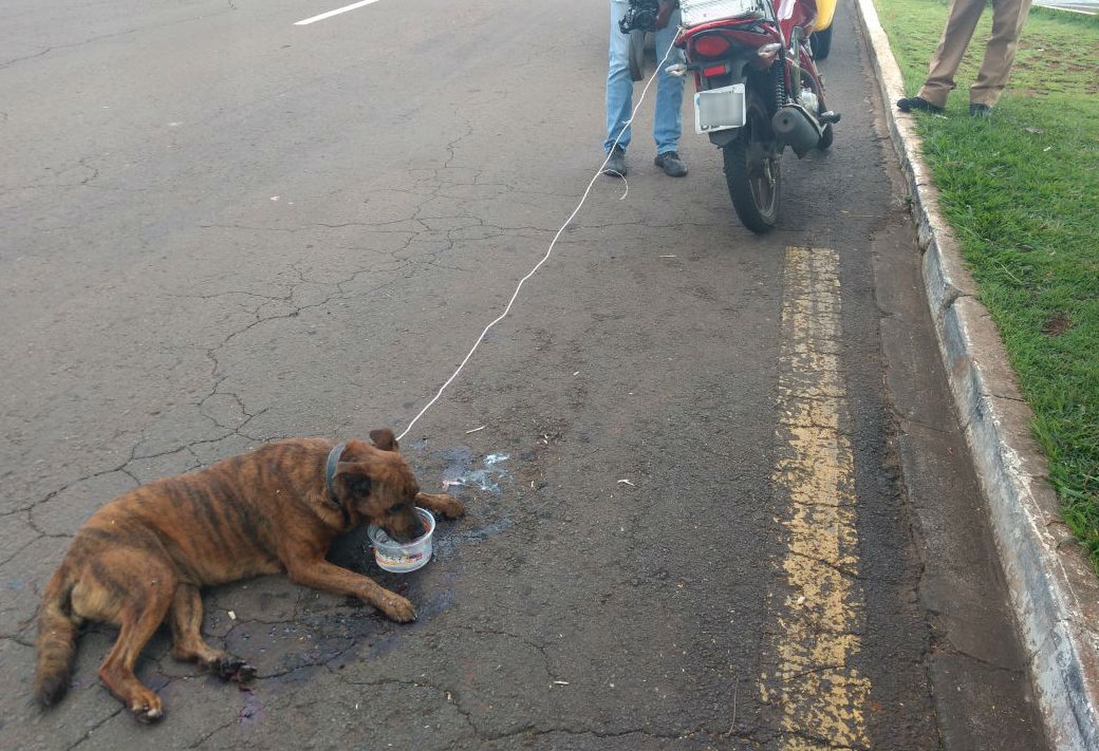 Homem é detido depois de amarrar e arrastar cachorro em motocicleta