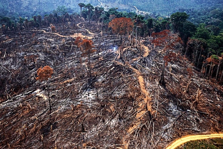Janeiro registra 430 km² de desmatamento na Amazônia, novo recorde para o mês