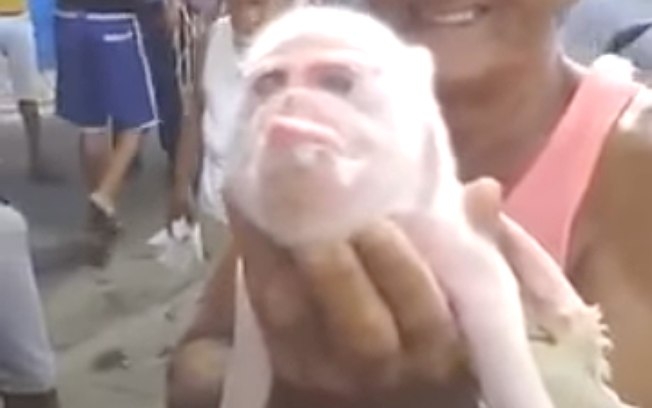 Animal bizarro intriga moradores de vila cubana