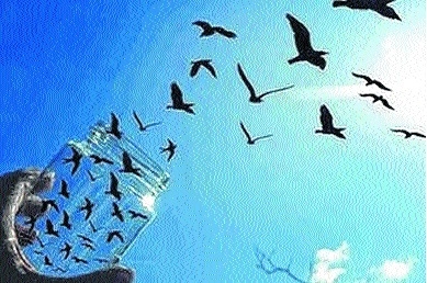 Será que temos, mesmo, liberdade na vida? (Final)