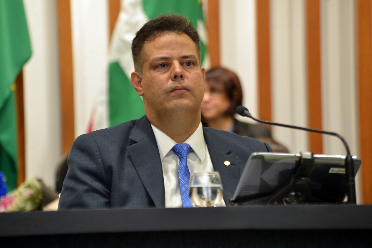Projeto determina que agressor de animais pague assistência veterinária e demais gastos decorrentes dos maus-tratos