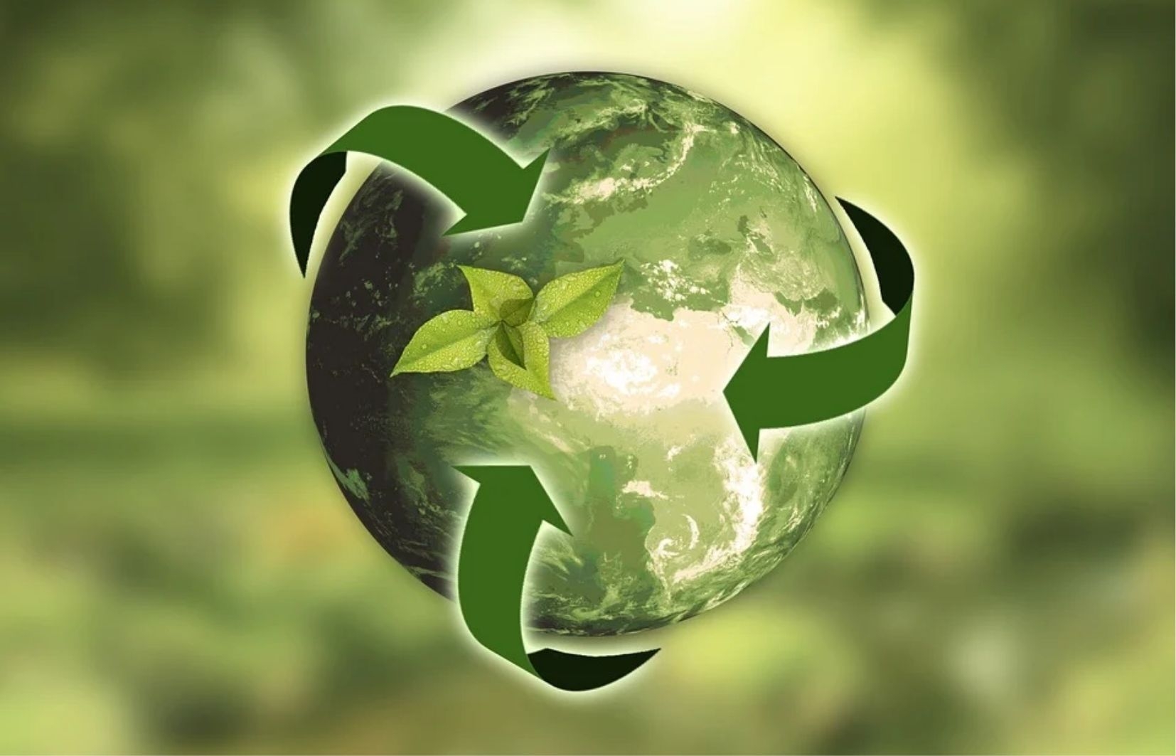 Carbono zero e reciclagem são prioridades em compromissos ambientais