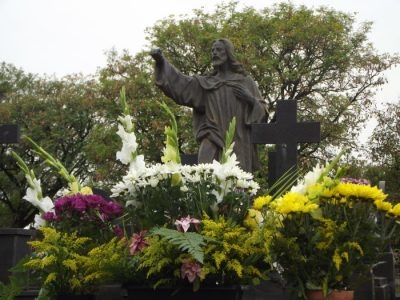 Variação de preços das flores chega a 300% com a proximidade do Dia de Finados