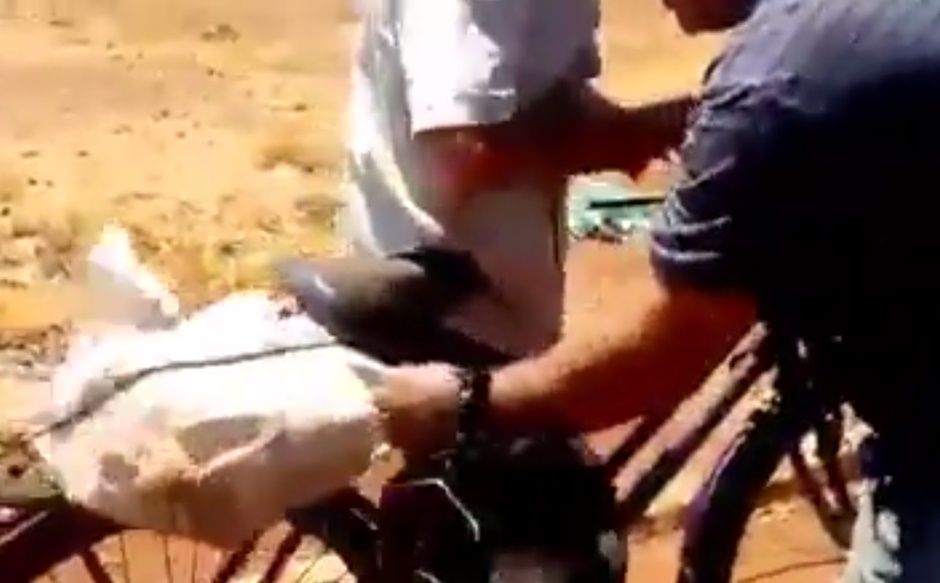 Homem que levava cachorro amarrado dentro de saco para sacrifica-lo é identificado