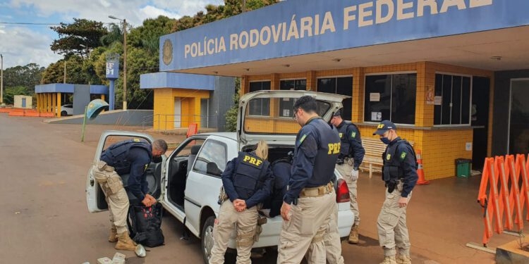 Jataí: PRF apreende mais de R$ 1,7 milhão em drogas