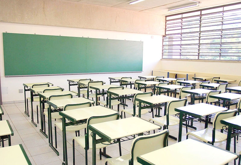 A escola pública em Goiás e a administração por OSs