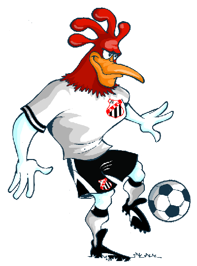 Galo da Comarca aposta em planejamento antecipado