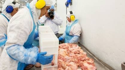 OMS afirmou não haver risco de contaminação por Covid-19 na cadeia alimentar