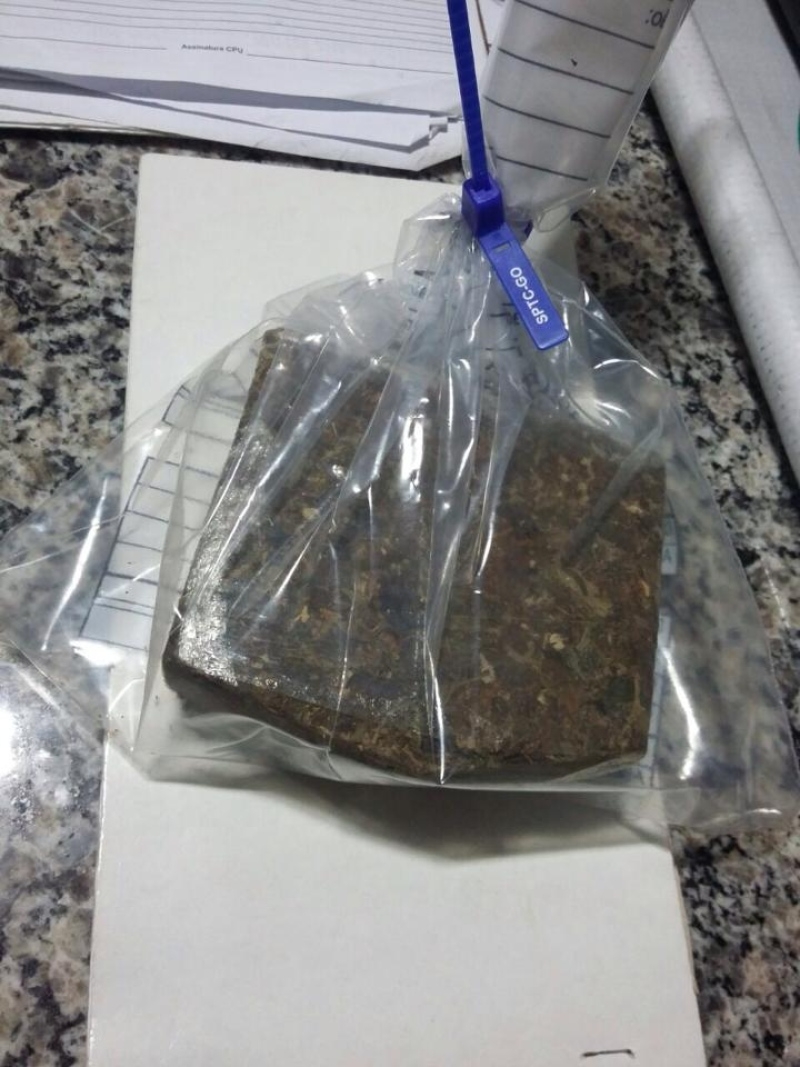 Homem é preso por furtar e fazer sexo com égua, em Bela Vista de Goiás