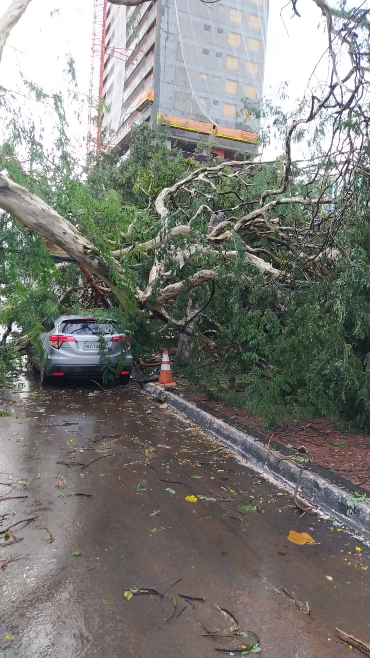 Temporal causa estragos em Goiânia, com 50 mm, região centro-leste foi mais atingida