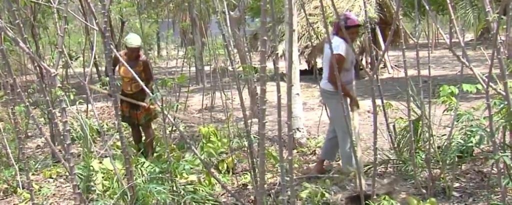 Comunidade quilombola pede testagem em massa, após testes positivos