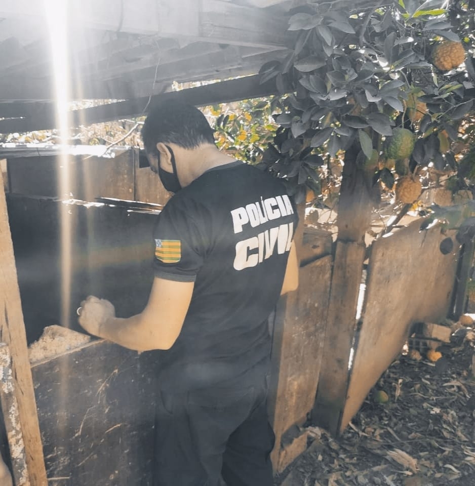 Polícia Civil faz operação em locais suspeitos de maus-tratos a animais em Anápolis