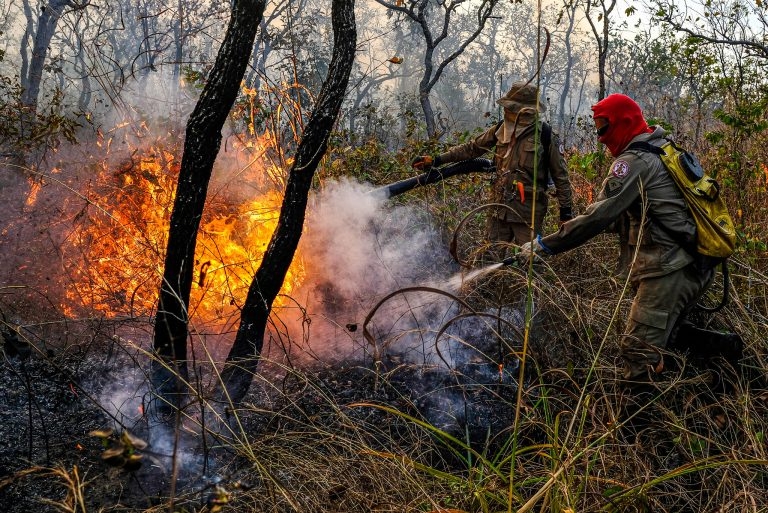 Queimadas no Cerrado e na Amazônia em maio batem recorde