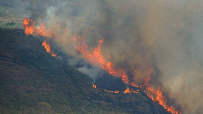 Pecuaristas contabilizam prejuízos com incêndios no Pantanal