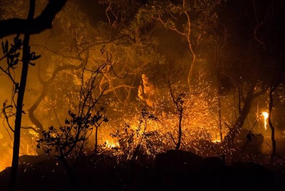 Incêndio que já atinge 22% da Chapada dos Veadeiros foi criminoso