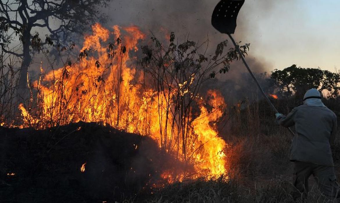 Caatinga é o bioma mais afetado por incêndios em todo o País