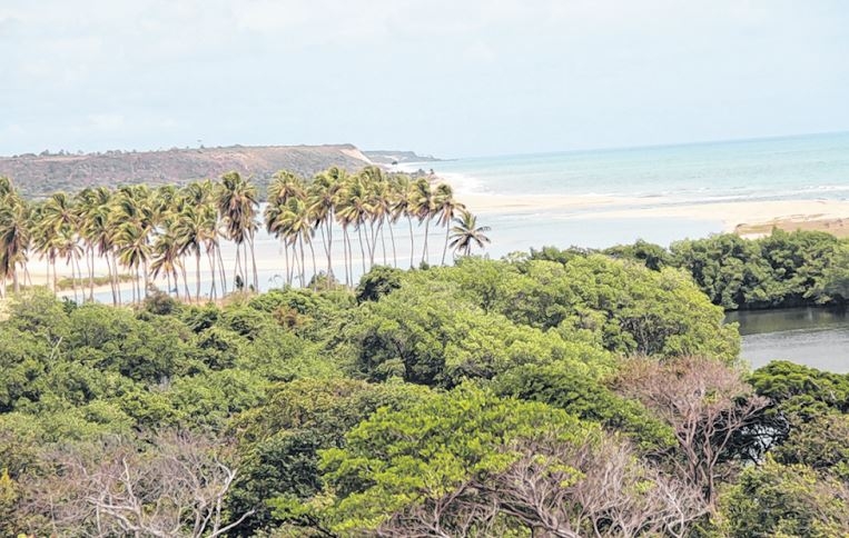 Reserva do Abiaí,  um verdadeiro recanto da natureza