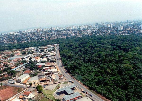 Audiência pública é marcada após decreto que desapropria imóveis em ruas da região do Jardim Botânico